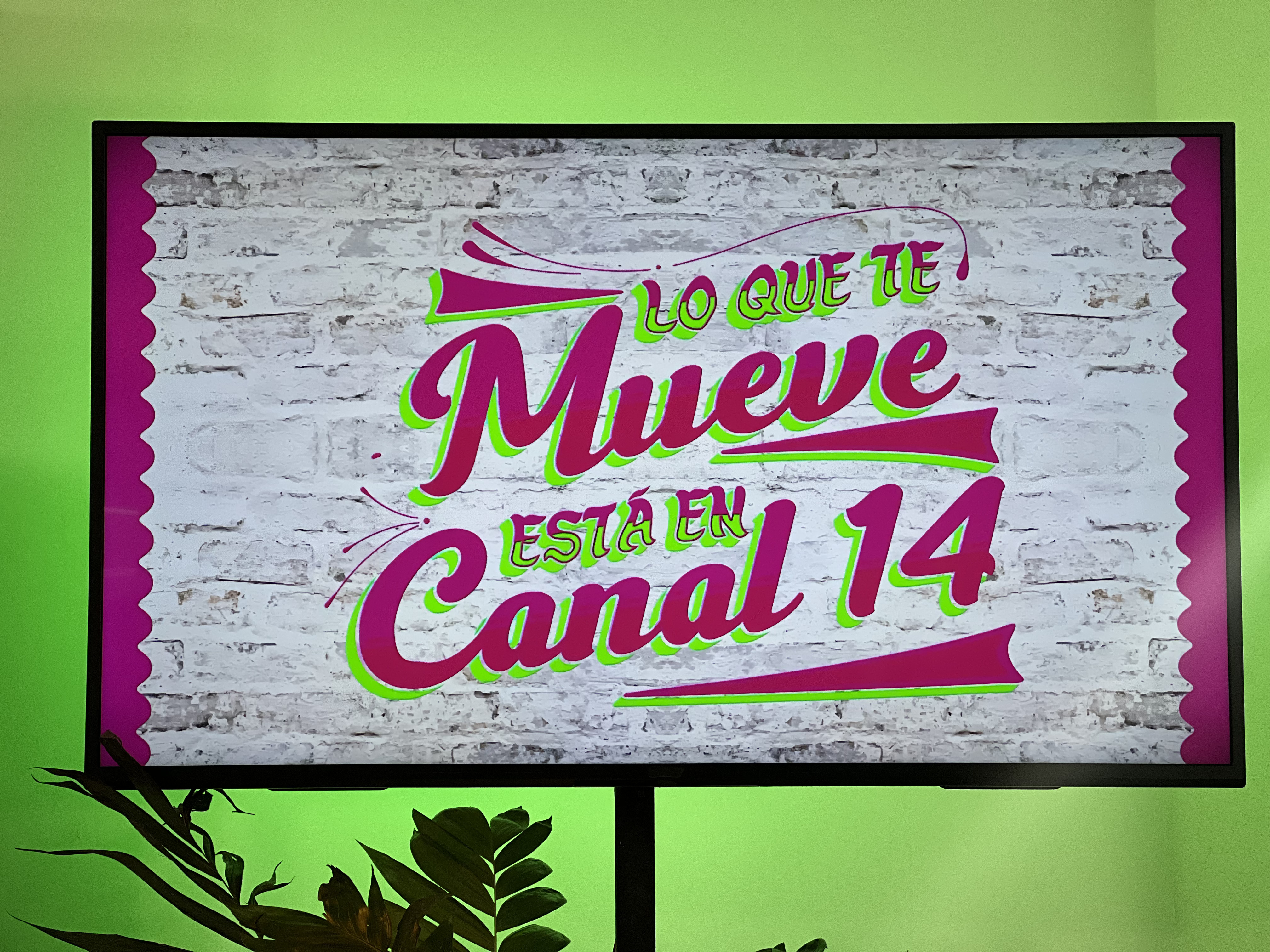 Conferencia de Prensa