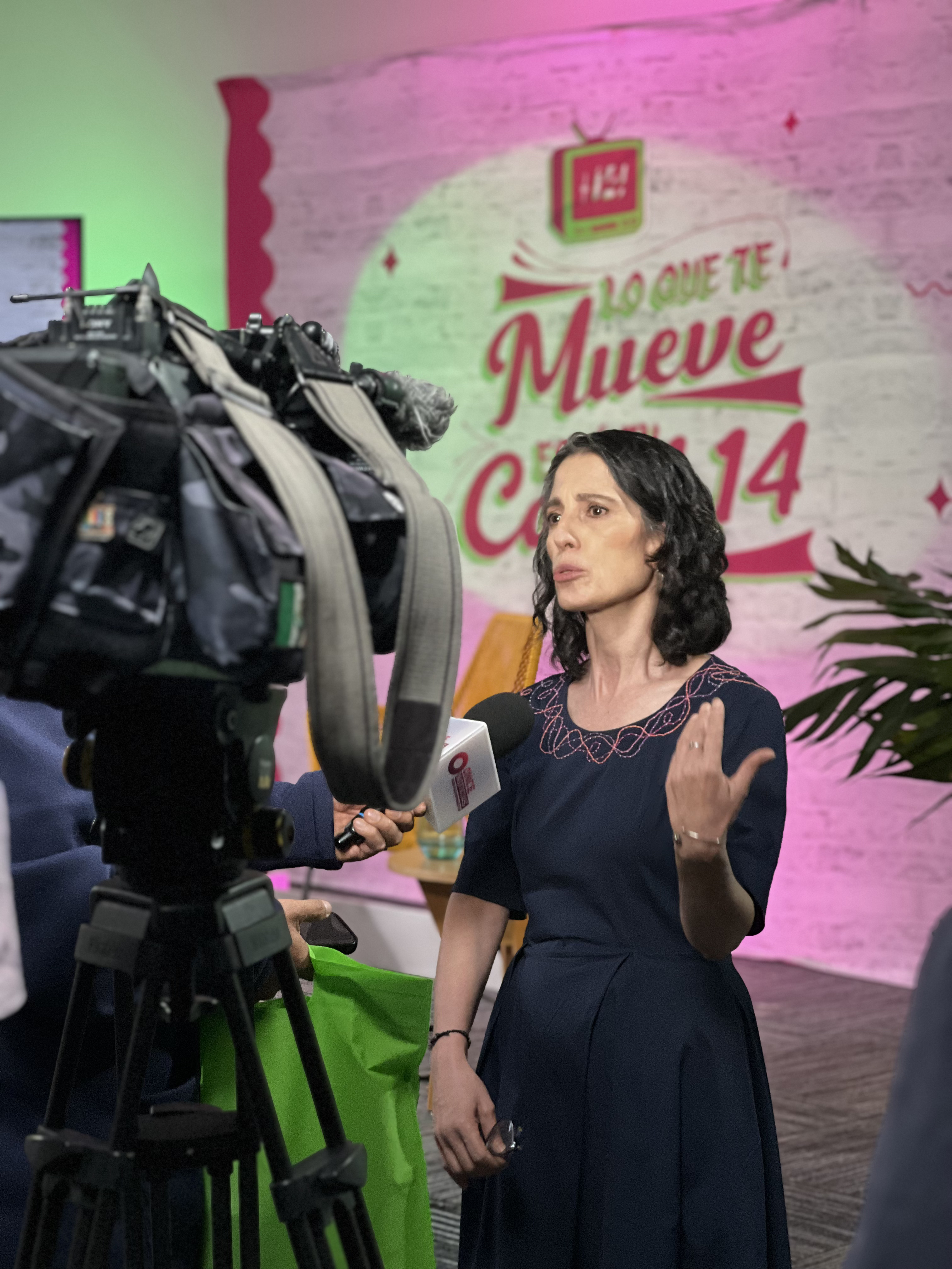 Conferencia de Prensa