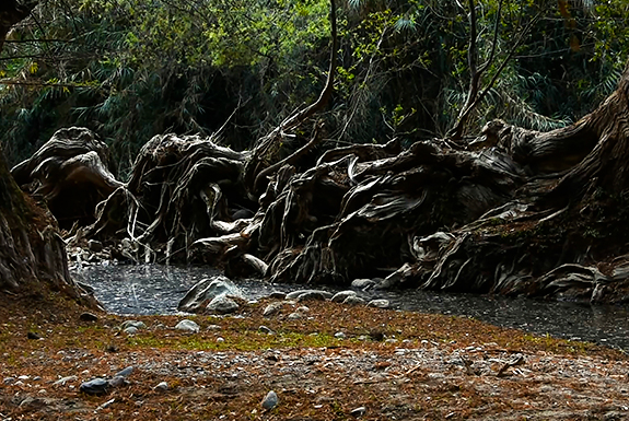 2da. Muestra de cine en defensa del territorio y el agua