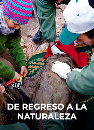 Naturaleza y medio ambiente